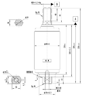 TD-24/1250-25Q1充氣柜用滅弧室	